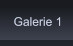 Galerie 1 Galerie 1