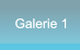 Galerie 1 Galerie 1